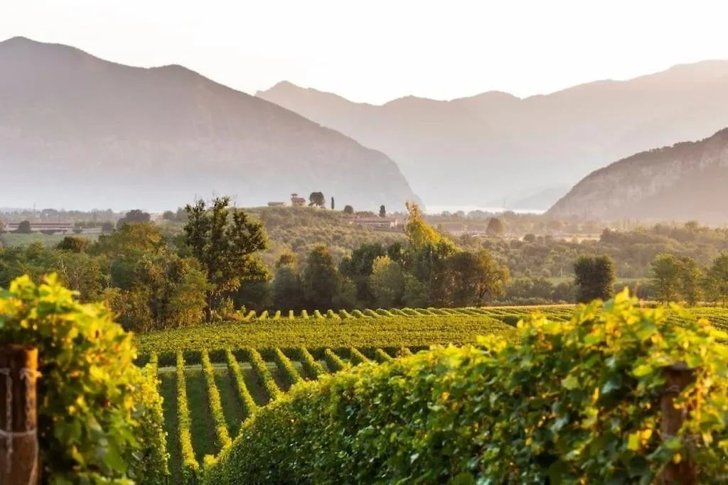 La Dolce Vita - Vista Lago E Piscina Parzanica